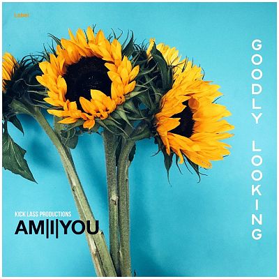 Pre Made Album Cover Viking