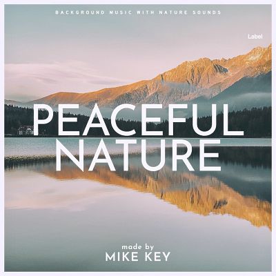 Pre Made Album Cover Pale Slate