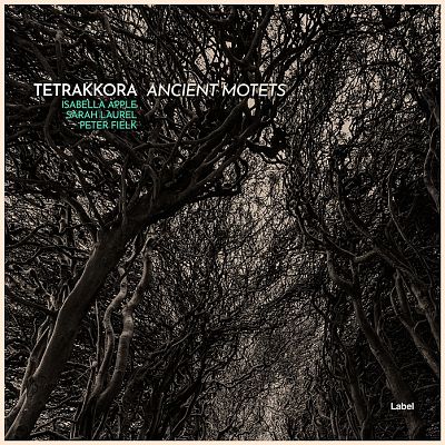 Pre Made Album Cover Vanilla