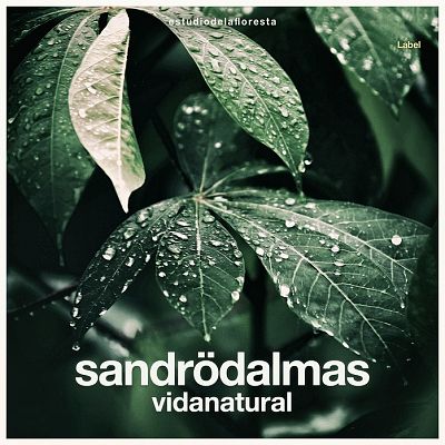 Pre Made Album Cover Moon Mist