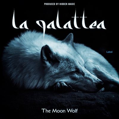 Pre Made Album Cover Bunker