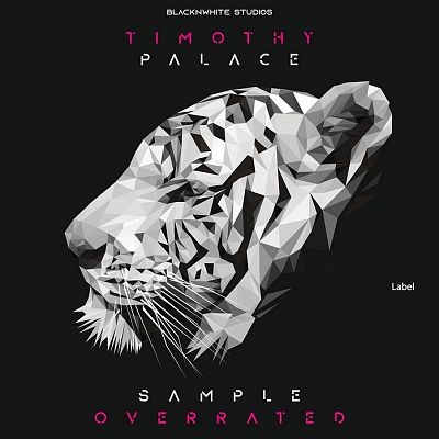 Pre Made Album Cover Pale Slate