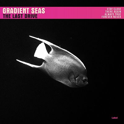 Pre Made Album Cover Charm