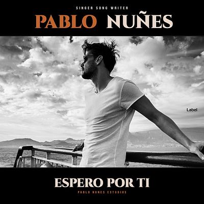 Pre Made Album Cover Silver