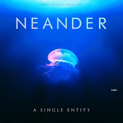 Pre Made Album Cover Black Pearl