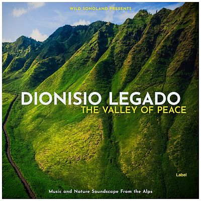 Pre Made Album Cover Seaweed