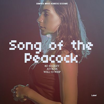 Pre Made Album Cover Ferra