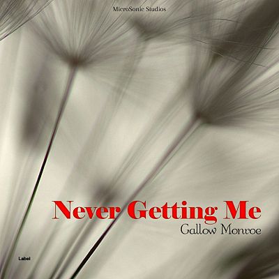 Pre Made Album Cover Taupe Gray