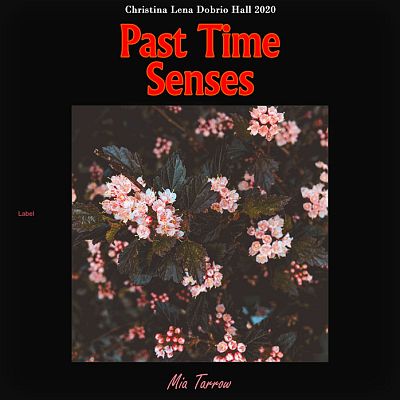 Pre Made Album Cover Cod Gray