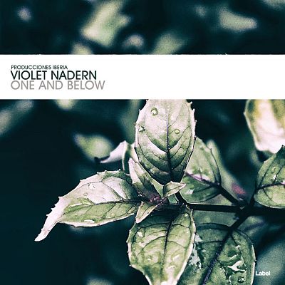 Pre Made Album Cover Ash