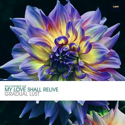 Pre Made Album Cover Bison Hide