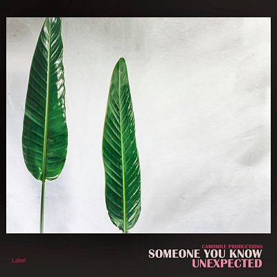 Pre Made Album Cover Quill Gray