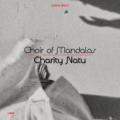 Pre Made Album Cover Nobel