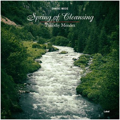 Pre Made Album Cover Celtic