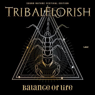 Pre Made Album Cover Black