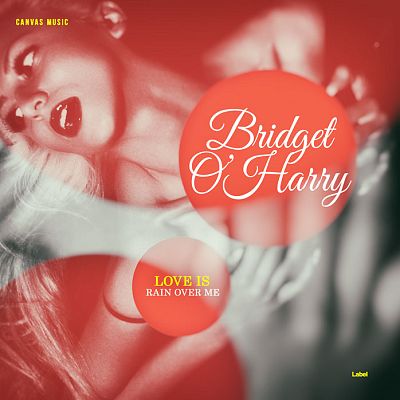 Pre Made Album Cover Chestnut