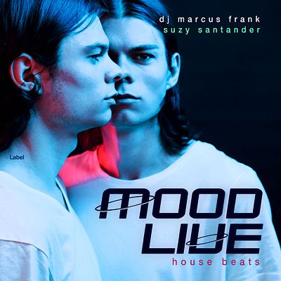 Pre Made Album Cover Firefly