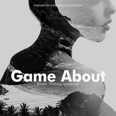 Pre Made Album Cover Gray Nickel