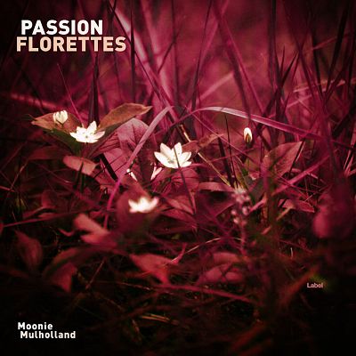 Pre Made Album Cover Coffee Bean