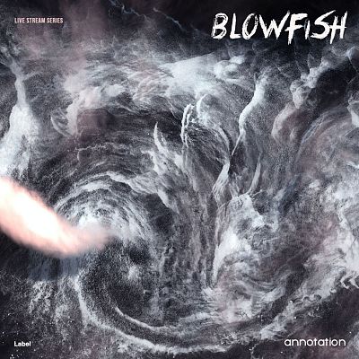 Pre Made Album Cover Scarpa Flow