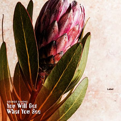 Pre Made Album Cover Stark White