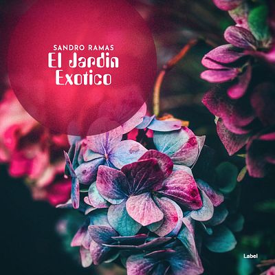 Pre Made Album Cover Cranberry