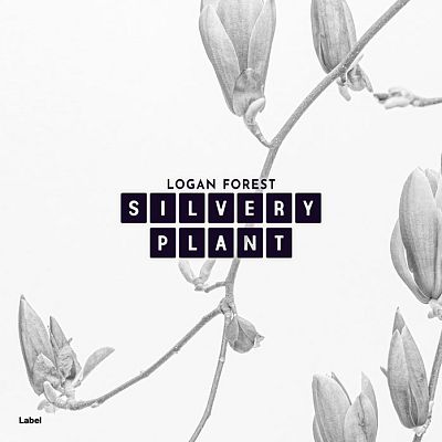 Pre Made Album Cover Gallery