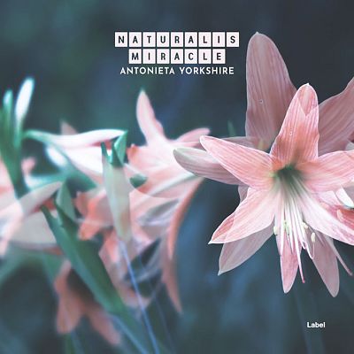 Pre Made Album Cover Cold Turkey