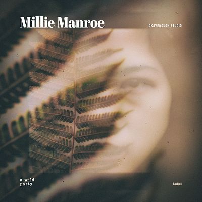 Pre Made Album Cover Armadillo