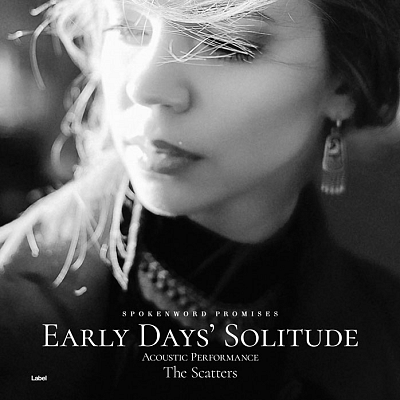 Pre Made Album Cover Silver