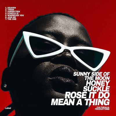 Pre Made Album Cover Bunker