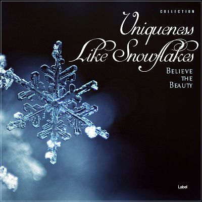 Pre Made Album Cover Bastille