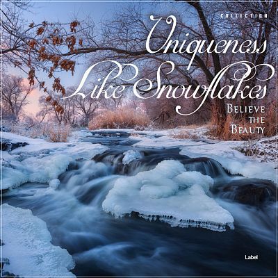 Pre Made Album Cover Lynch