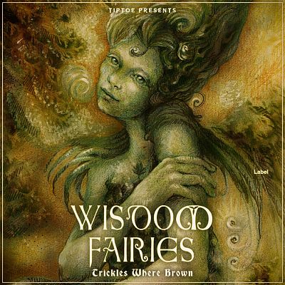 Pre Made Album Cover Dallas