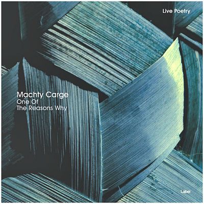 Pre Made Album Cover Blue Bayoux