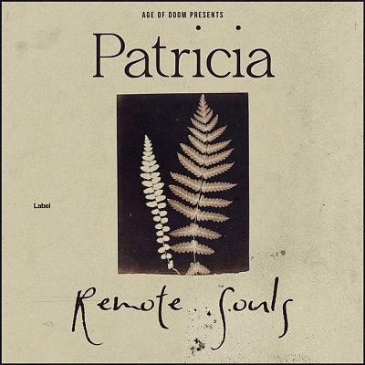 Pre Made Album Cover Coral Reef