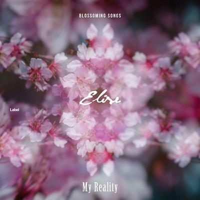 Pre Made Album Cover Falcon