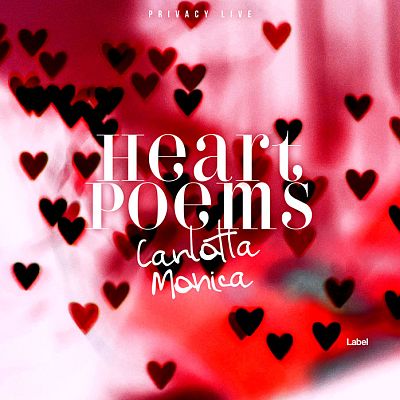 Pre Made Album Cover Cardinal