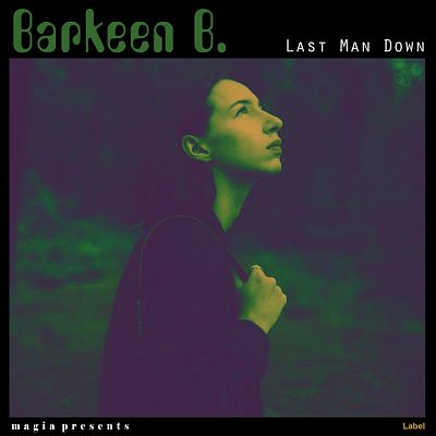 Pre Made Album Cover Charade