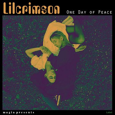 Pre Made Album Cover Charade