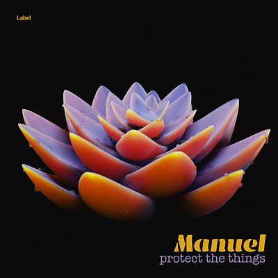 Pre Made Album Cover Coral Tree