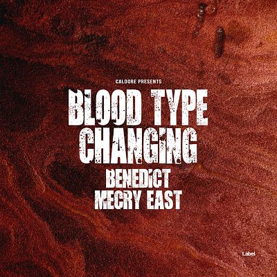 Pre Made Album Cover Metallic Copper