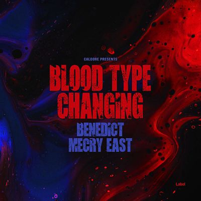 Pre Made Album Cover Revolver