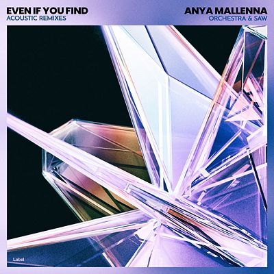 Pre Made Album Cover Elephant