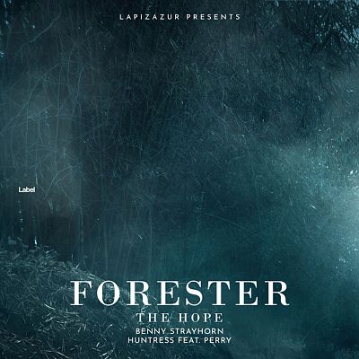 Pre Made Album Cover Blue Dianne