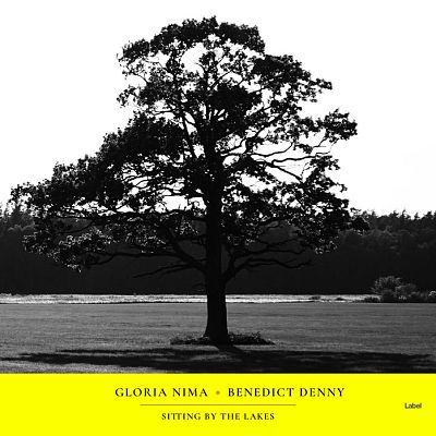 Pre Made Album Cover Golden Dream