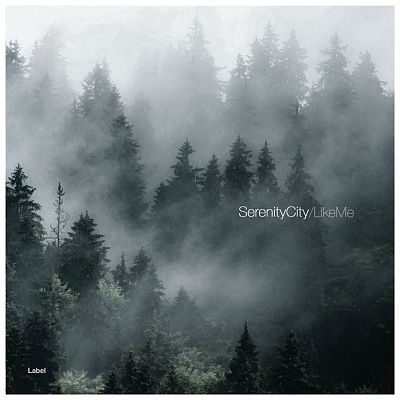 Pre Made Album Cover Cape Cod