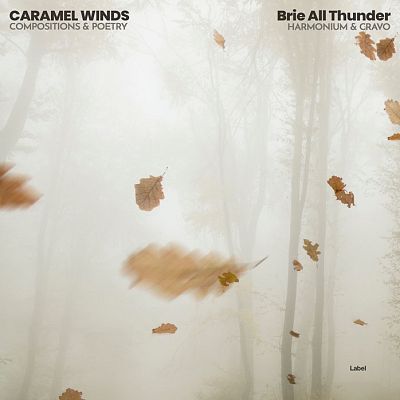 Pre Made Album Cover Timberwolf