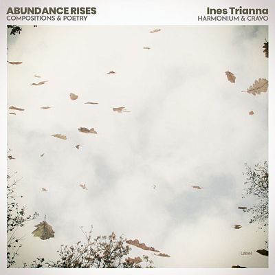 Pre Made Album Cover Cararra