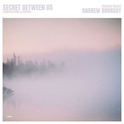 Pre Made Album Cover Pale Slate